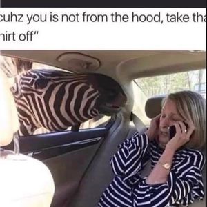 Meet your Posher, Fernando